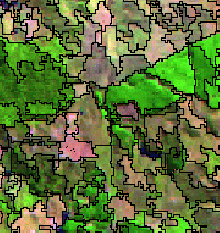 Forest Damage Classification (Landsat)